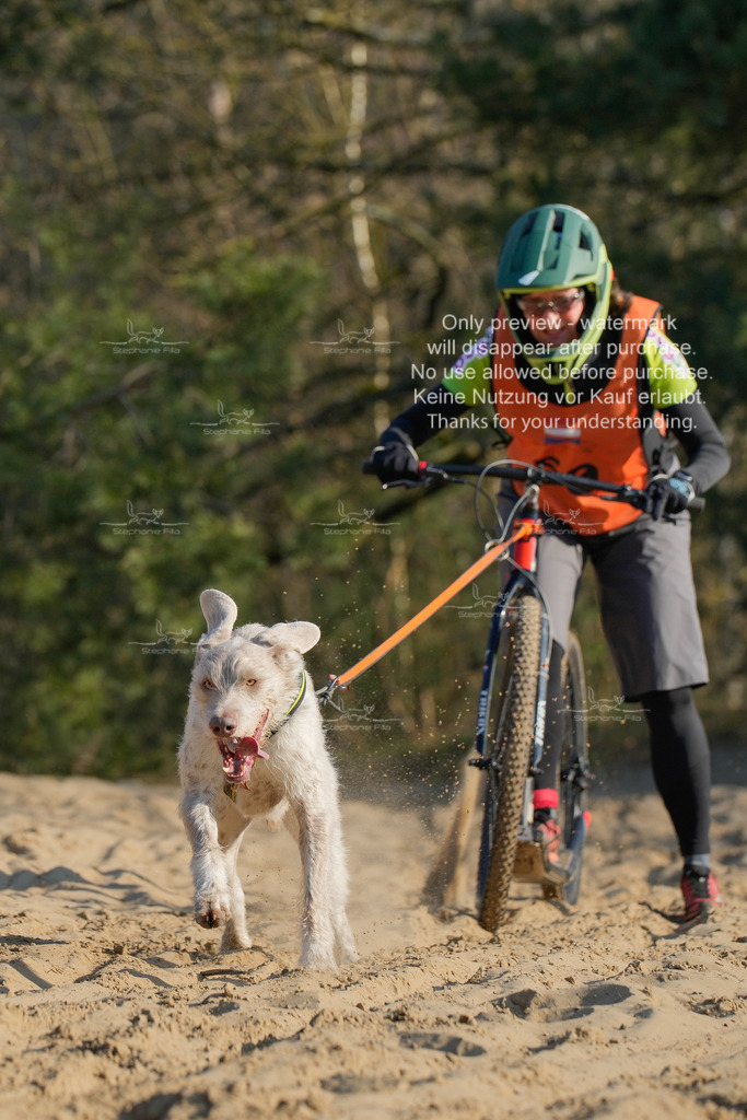 So_Scooter-323 | stephaniefillaphotographie - Realisiert mit Pictrs.com