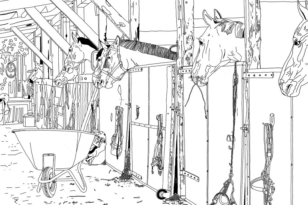 Reiterhof | Illustration zeigt Außenlinien von Pferden in Boxen auf einem Reiterhof in Brilon.