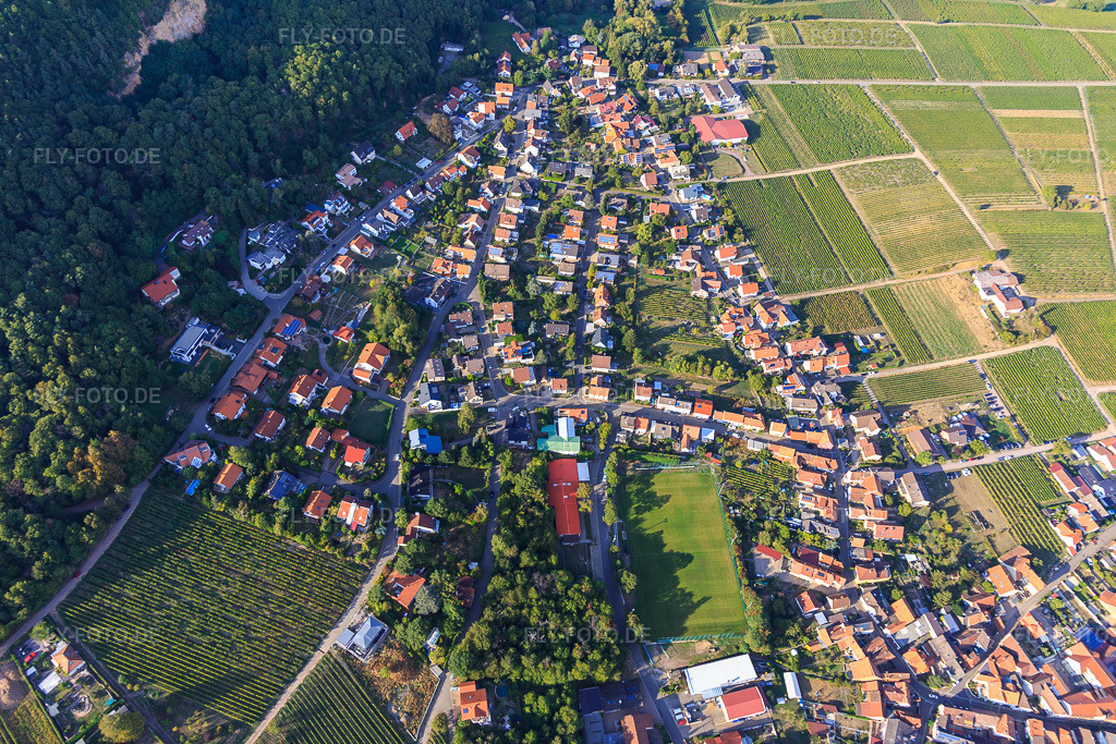 Luftbild: Winzerdorfübersicht zwischen Weinbergen aus Süden in Frankweiler im Bundesland Rheinland-Pfalz in Deutschland. Foto: IMG_111759.jpg vom 16.09.2018 durch Werner Riehm/FLY-FOTO.de