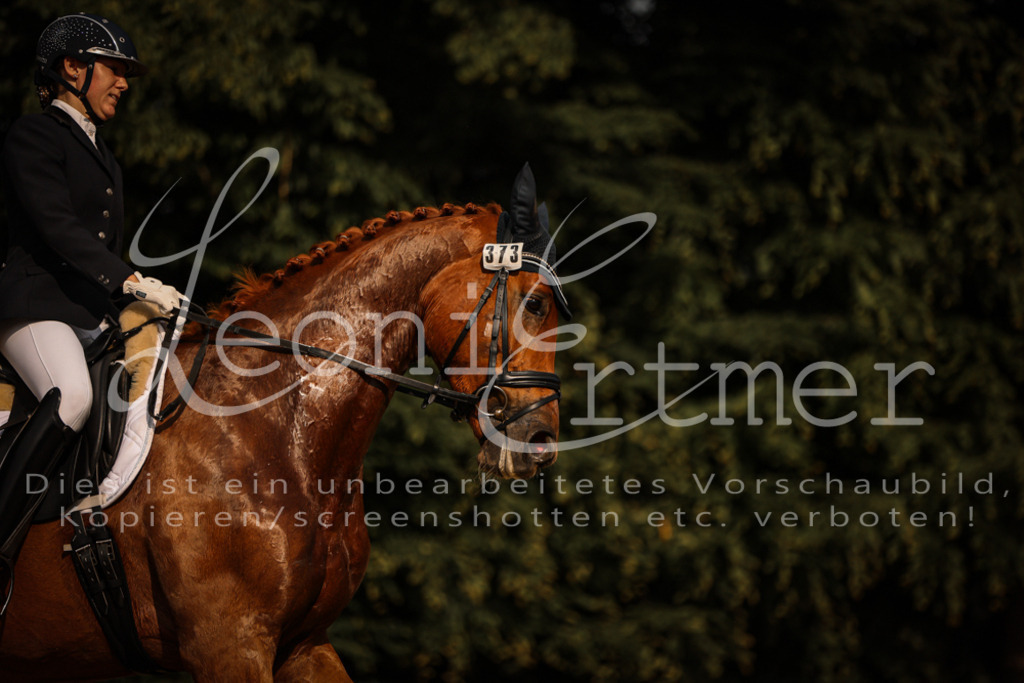 14.SaDrA00096 | Leoni Ertmer Photography - Realisiert mit Pictrs.com