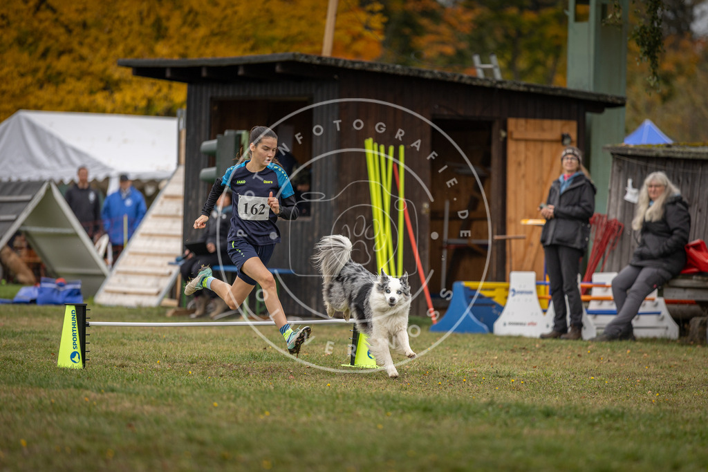 Pfotenfotografie_DV3A4937 | Hundefotografie, Tierfotograf, Pfotenfotografie, Fotoshooting Hund, Hunde Portrait, Hundesport, Hundeportraits, Heideshooting, Hunde, Sportfotograf, Hundefotograf, Turnierhundsport, THS,  - Realisiert mit Pictrs.com