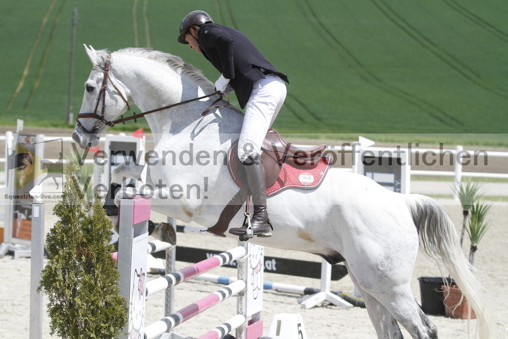 _MG_2022 | equestrian-live-com