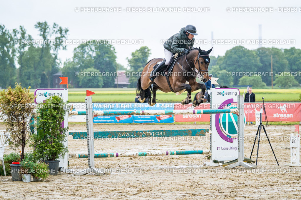 DSC03709 | Pferdegrafie