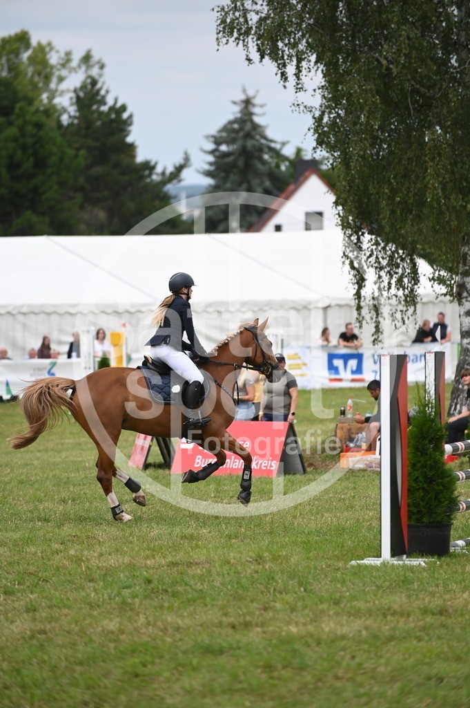 DSC_1923 | sattelsport - Realisiert mit Pictrs.com