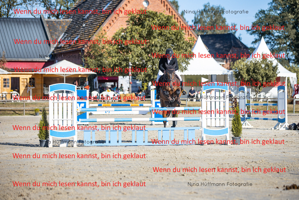 BK1A6083 | Turnierbilder Turnierfotos Nina Hüffmann Turnierfotografie Pferdefotografie Tierzeichnung Haustierzeichnung Pferdezeichnung Hundezeichnung Videograf  - Realisiert mit Pictrs.com