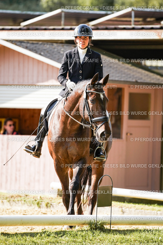 DSC06896 | Pferdegrafie