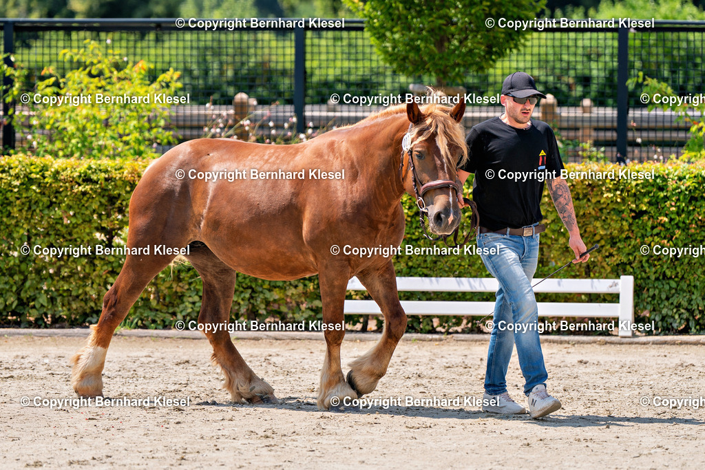 2A900865 | foto-team-bernhard - Realisiert mit Pictrs.com