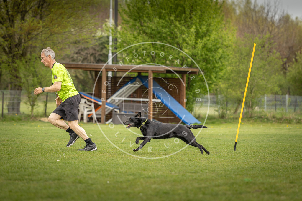 Pfotenfotografie_DV3A7649 | Hundefotografie, Tierfotograf, Pfotenfotografie, Fotoshooting Hund, Hunde Portrait, Hundesport, Hundeportraits, Heideshooting, Hunde, Sportfotograf, Hundefotograf, Turnierhundsport, THS,  - Realisiert mit Pictrs.com