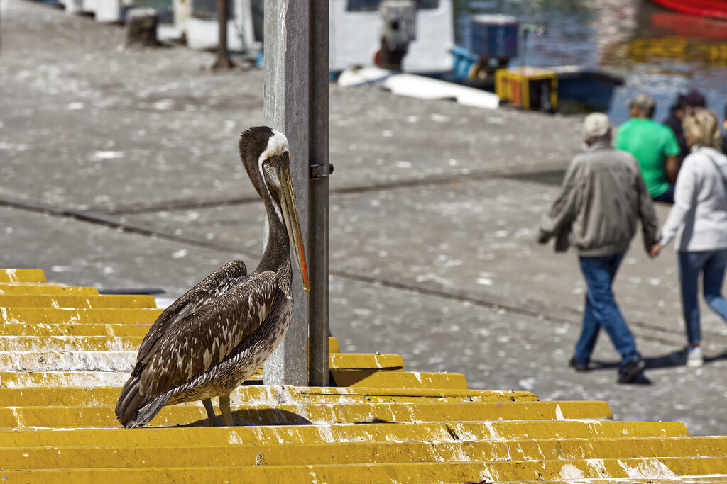 1H5A3274a | ansichtssache