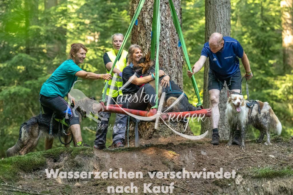 1358_ZZ93985-Bearbeitet | kk-dogfotos