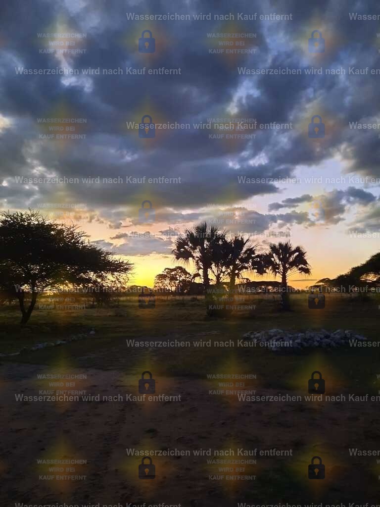 IMG-20250422-WA0000 | Fotoseite Wolkenblende - Das Hobby fotografieren begleitet mich schon  viele  Jahre. Auf den nächsten Seiten zeige ich ein paar Schnappschüsse der letzten Jahre und es kommen immer neue hinzu. Schau einfach mal rein. - Realisiert mit Pictrs.com