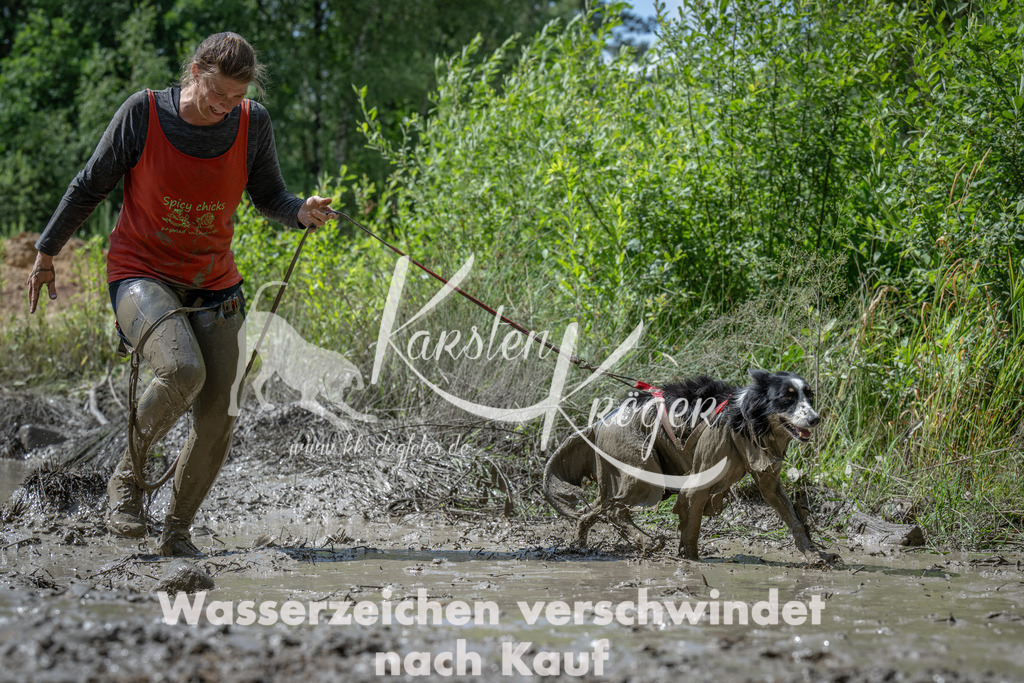 1117_ZZ91171 | kk-dogfotos
