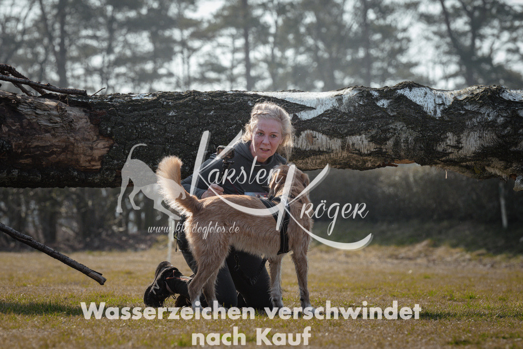 1127_ZZ95220 | kk-dogfotos