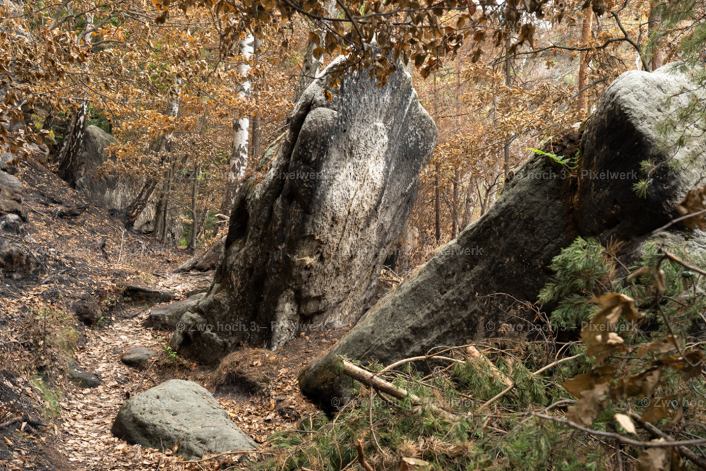 Obere_Affensteinpromenade_Felsblock_Pfad_Waldbrand_Laub | 2022-09-02_Waldbrandgebiete_2 - Realisiert mit Pictrs.com