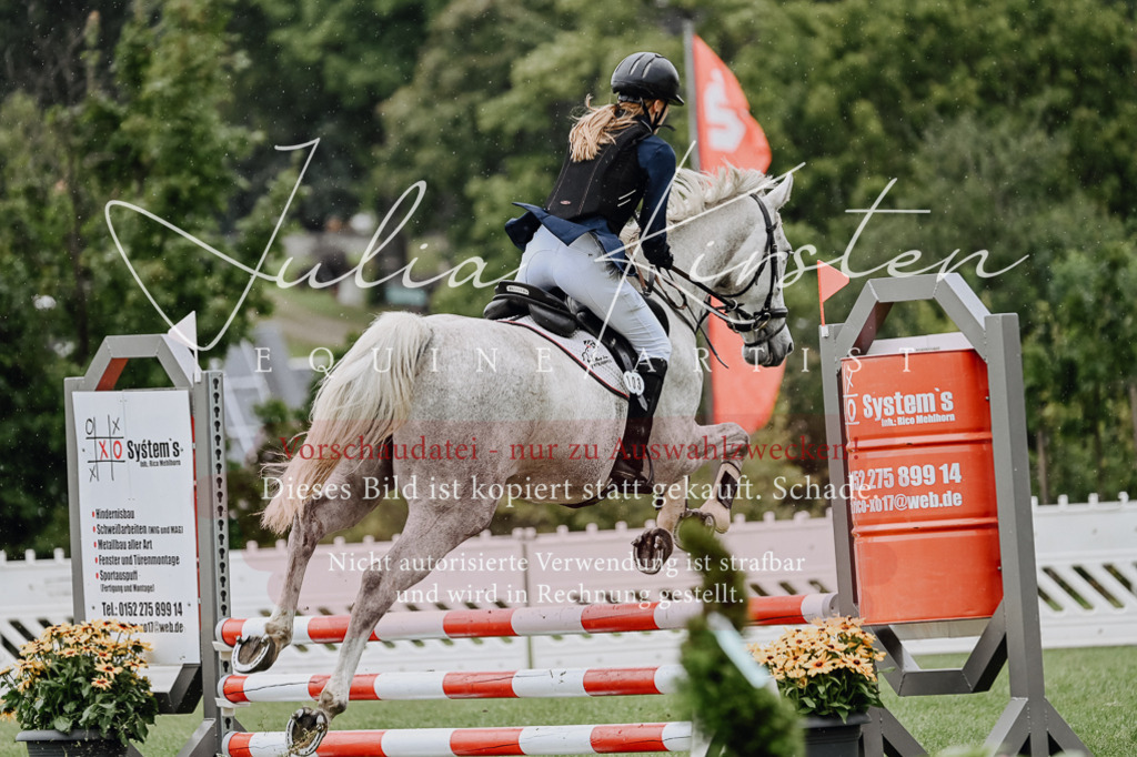 DSC_7073 | Pferde- und Turnierfotografie in Westsachsen. Pferdeportraits, Auftragszeichnungen und intuitive Kunst.