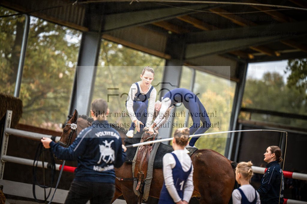 DOS_0293 | Entdecke hochwertige Reitturnierfotos von Foto Oger. Professionell, emotional und authentisch – jetzt Lieblingsmomente im Shop bestellen.Deutschlandweite Turnierfotografie. - Realisiert mit Pictrs.com