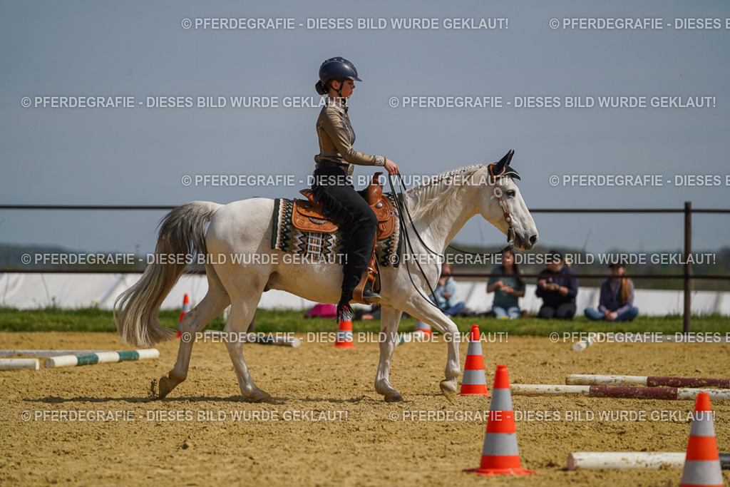 DSC04714 | Pferdegrafie