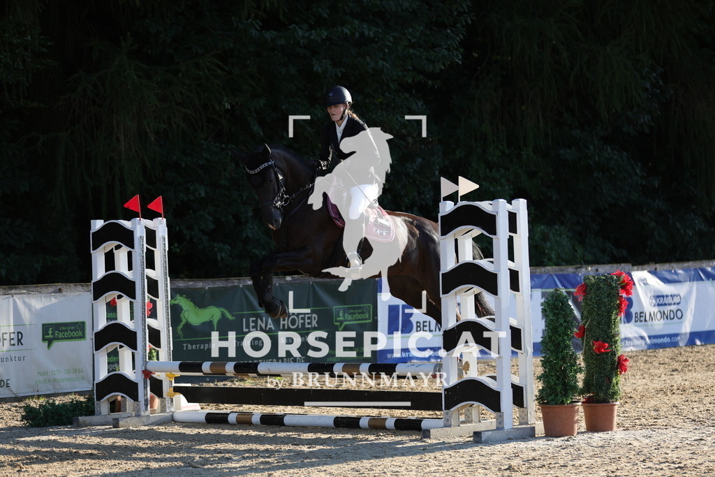 0P6A6653 | Willkommen bei Brunnmayr - Design & Fotografie – Ihrem Spezialisten für Reitturniere und Pferdeveranstaltungen in Oberösterreich, Salzburg und Bayern! Seit über 17 Jahren sind wir leidenschaftlich dabei.