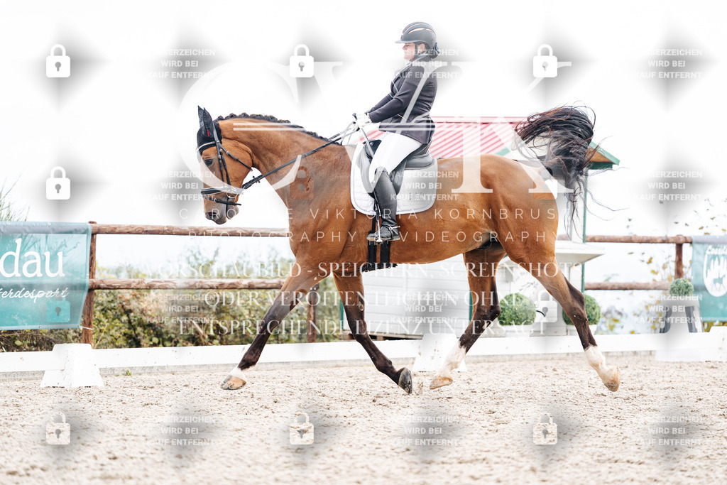 CK900811 | Turnierfotografie Pferdefotografie Trier Rheinland-Pfalz Pferdesport Reitsport Tierfotografie Sportfotografie Pferdevideo Pferdevideografie Equestrianvideography equestrianphotography  - Realisiert mit Pictrs.com