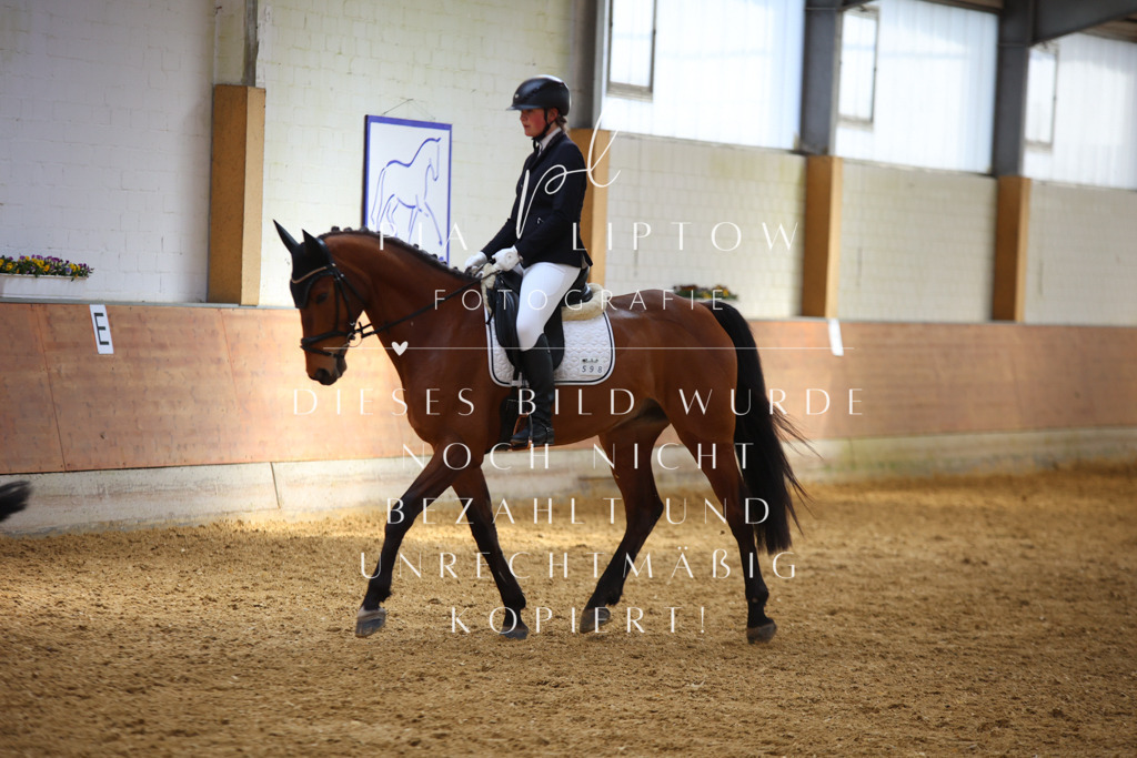 IMGT3639 | pl-fotografie