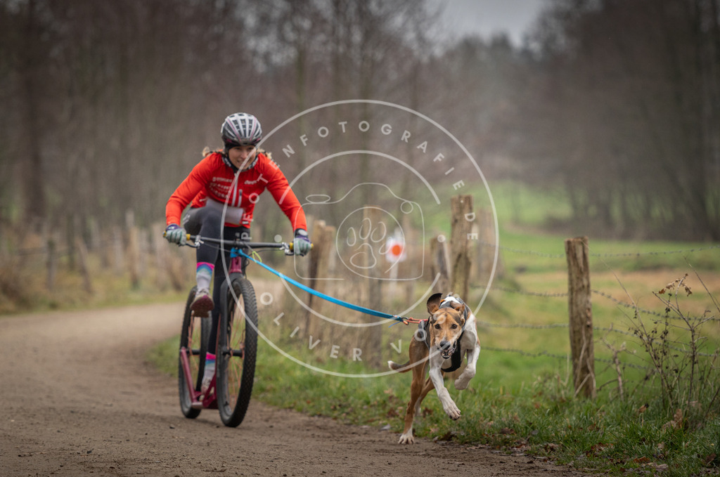 Pfotenfotografie_DV3A2093 | Hundefotografie, Tierfotograf, Pfotenfotografie, Fotoshooting Hund, Hunde Portrait, Hundesport, Hundeportraits, Heideshooting, Hunde, Sportfotograf, Hundefotograf, Turnierhundsport, THS,  - Realisiert mit Pictrs.com