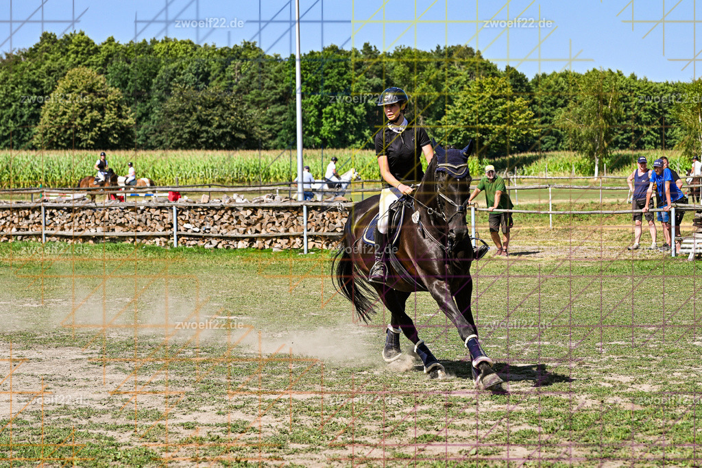 30 Jahre RFV Pulsnitz e.V., Pulsnitz am 09.08.2026 | Zur 28. breitensportlichen Veranstaltung des RFV Pulsnitz e.V. fanden verschiedene Wettbewerbe in nahezu allen Disziplinen des Pferdesport statt. - 06 Standard-Spring-Wettbewerb - Realisiert mit Pictrs.com