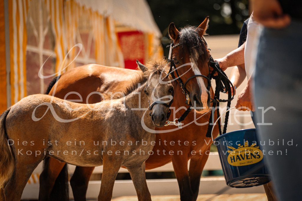 04.DoWP00105 | Leoni Ertmer Photography - Realisiert mit Pictrs.com