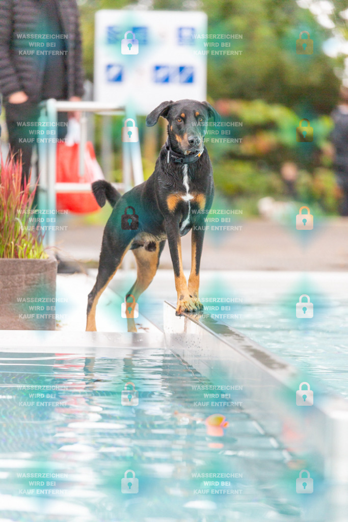 _HP_7349_1000o | HetPix, HetPix Fotodesign, Fotografie, Fotodesign, Webshop, Sportfotografie, Portraitfotografie, Onlineshop, Sportfotografie, Polch, Motorsportfotografie, Eventfotografie