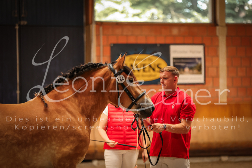 SaFL00105 | Leoni Ertmer Photography - Realisiert mit Pictrs.com