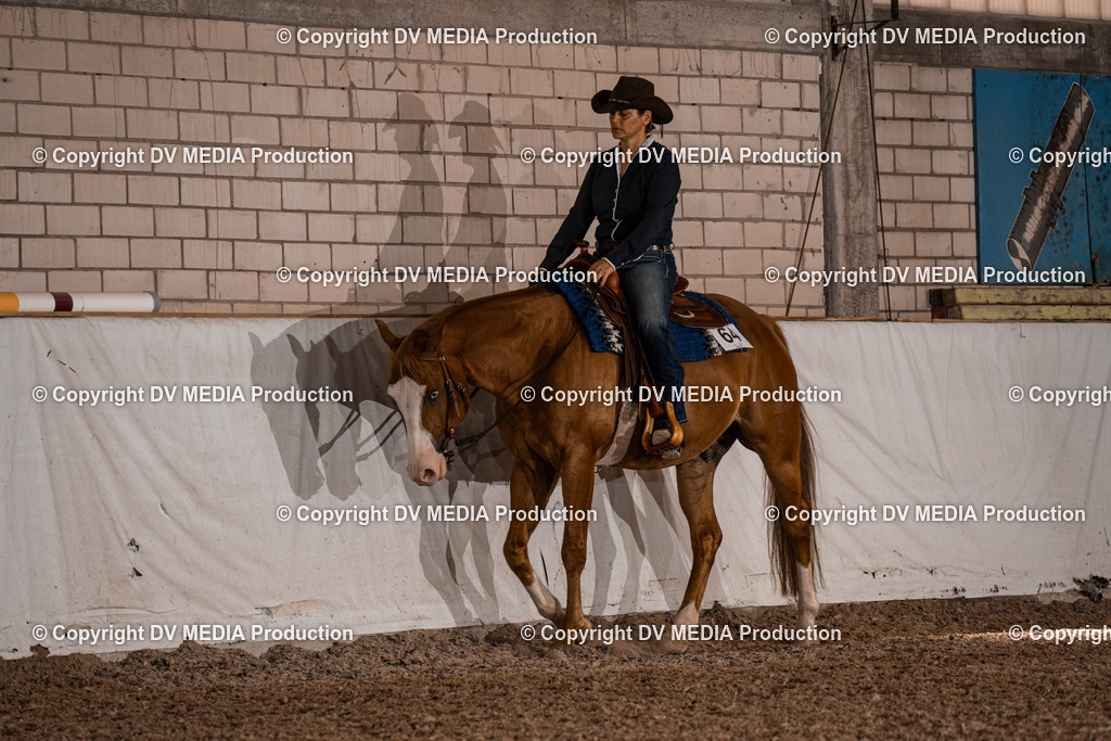 ZH100225 | dv-media-shop - Realisiert mit Pictrs.com