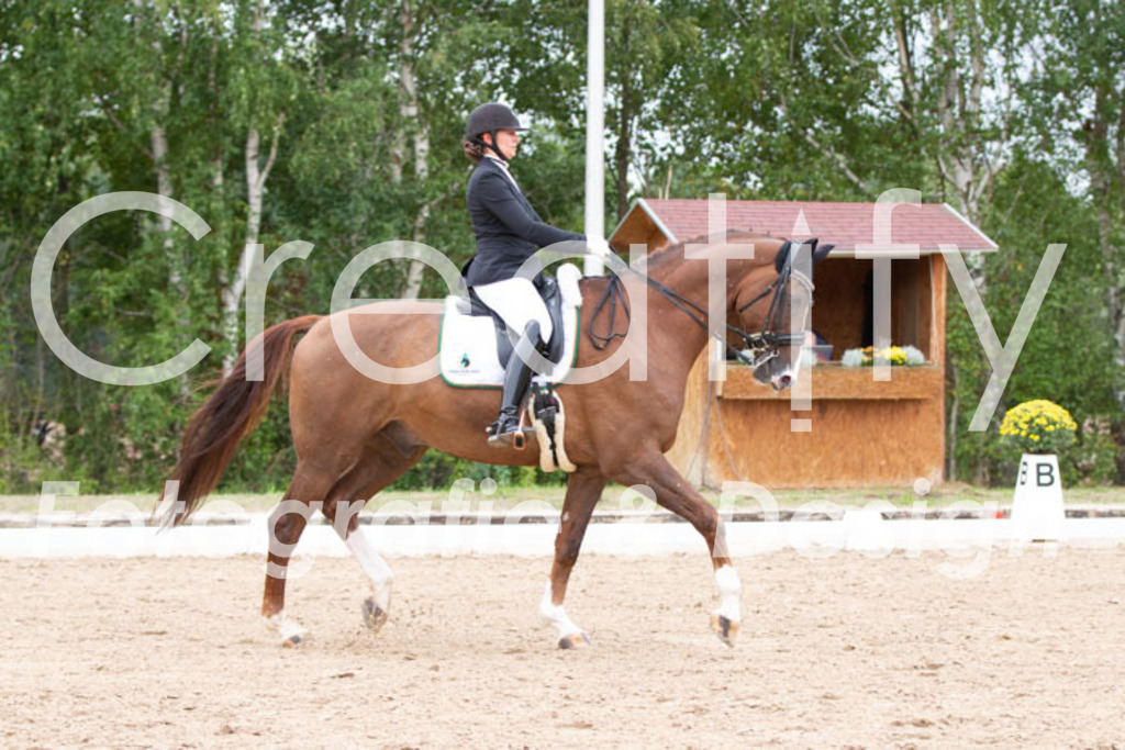 IMG_7233 | Creatify Fotografie