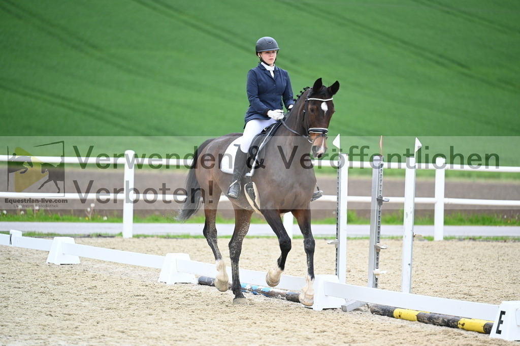 DSC_0269 | equestrian-live-com