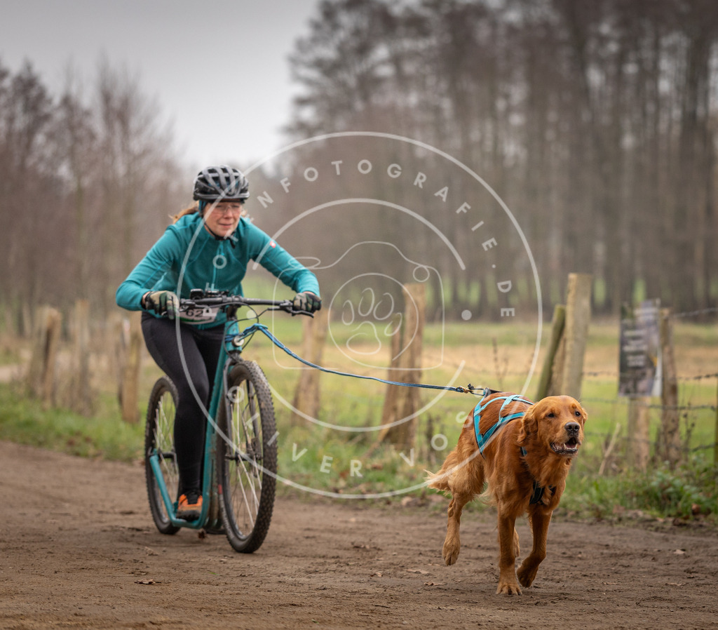 Pfotenfotografie_DV3A3269 | Hundefotografie, Tierfotograf, Pfotenfotografie, Fotoshooting Hund, Hunde Portrait, Hundesport, Hundeportraits, Heideshooting, Hunde, Sportfotograf, Hundefotograf, Turnierhundsport, THS,  - Realisiert mit Pictrs.com
