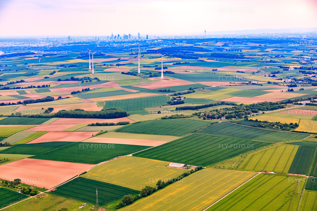 Luftbild: Skyline von Frankfurt am Main aus Nordosten von Schöneck aus im Ortsteil Nordend-West in Frankfurt im Bundesland Hessen in Deutschland. Foto: IMG_088846.jpg vom 20.05.2016 durch Werner Riehm/FLY-FOTO.de