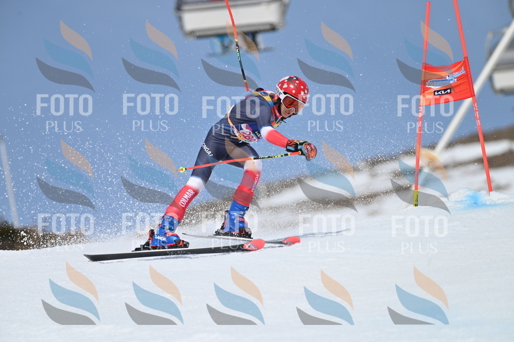 BGV_2578 | holidayphoto