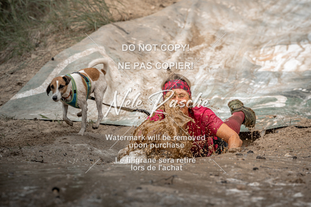 nelerasche_sa1500-1530_76 | nelerasche