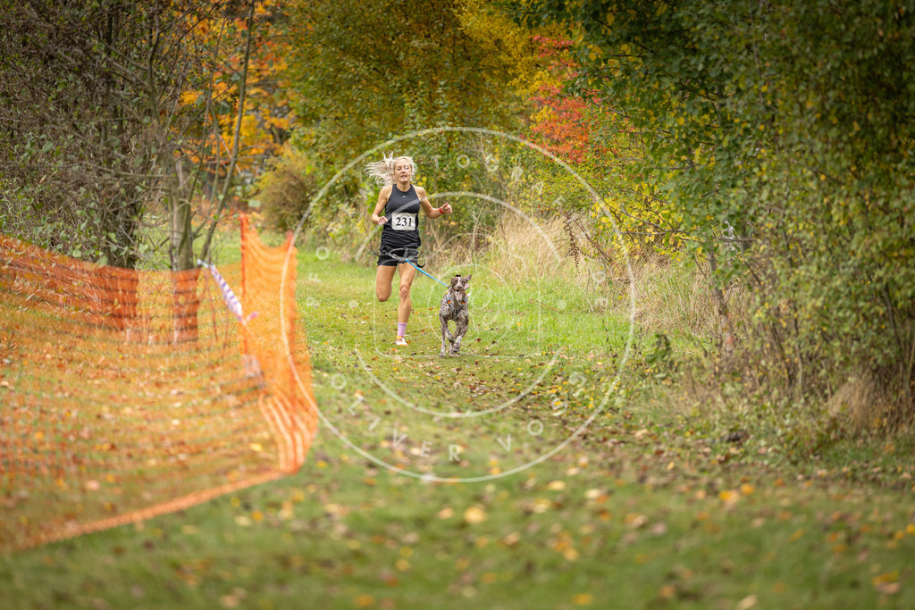 Pfotenfotografie_DV3A4440 | Hundefotografie, Tierfotograf, Pfotenfotografie, Fotoshooting Hund, Hunde Portrait, Hundesport, Hundeportraits, Heideshooting, Hunde, Sportfotograf, Hundefotograf, Turnierhundsport, THS,  - Realisiert mit Pictrs.com