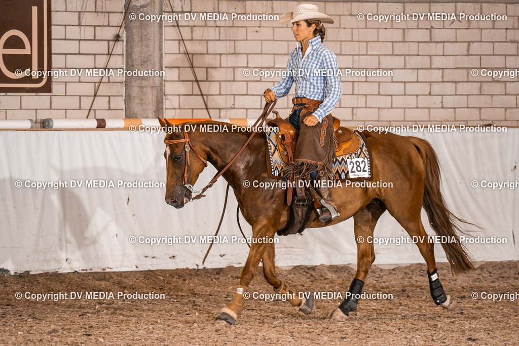 ZH200786 | dv-media-shop - Realisiert mit Pictrs.com