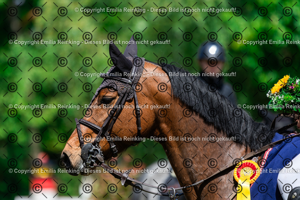 CL5A5783 | Emilia Reinking Fotografie - Realisiert mit Pictrs.com