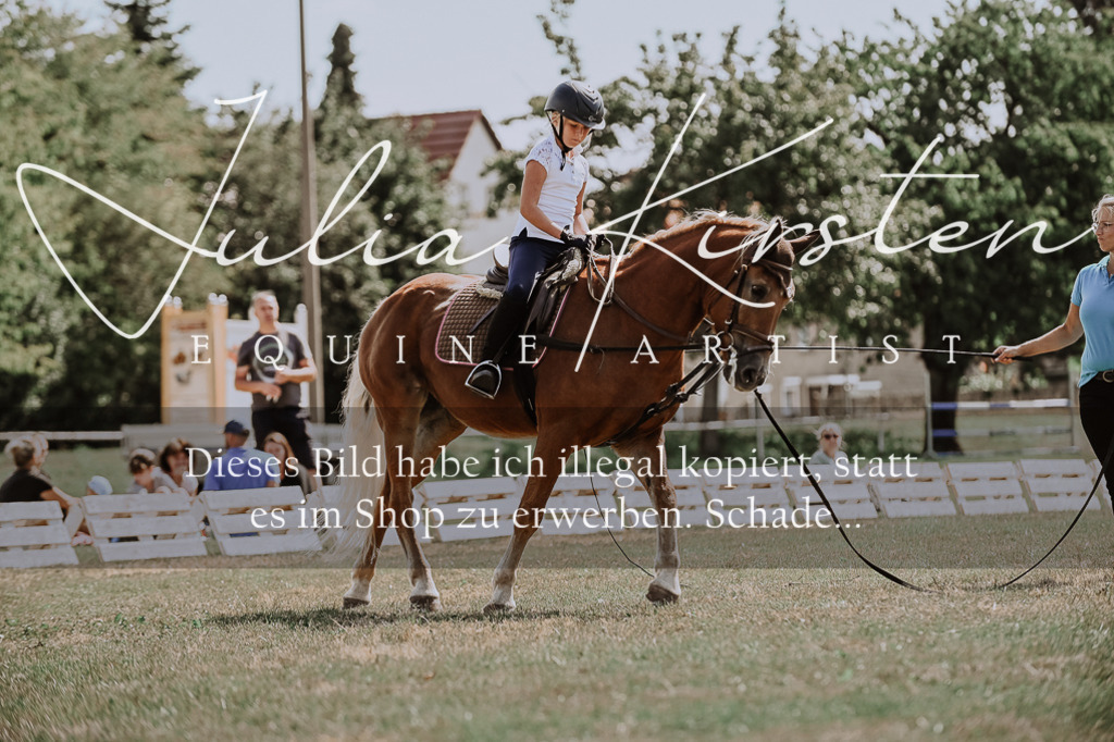 DSC_7804 | Pferde- und Turnierfotografie in Westsachsen. Pferdeportraits, Auftragszeichnungen und intuitive Kunst.