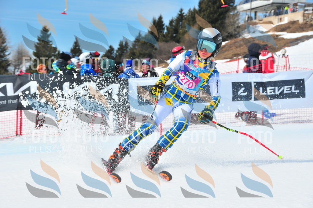 DSC_6276 | holidayphoto