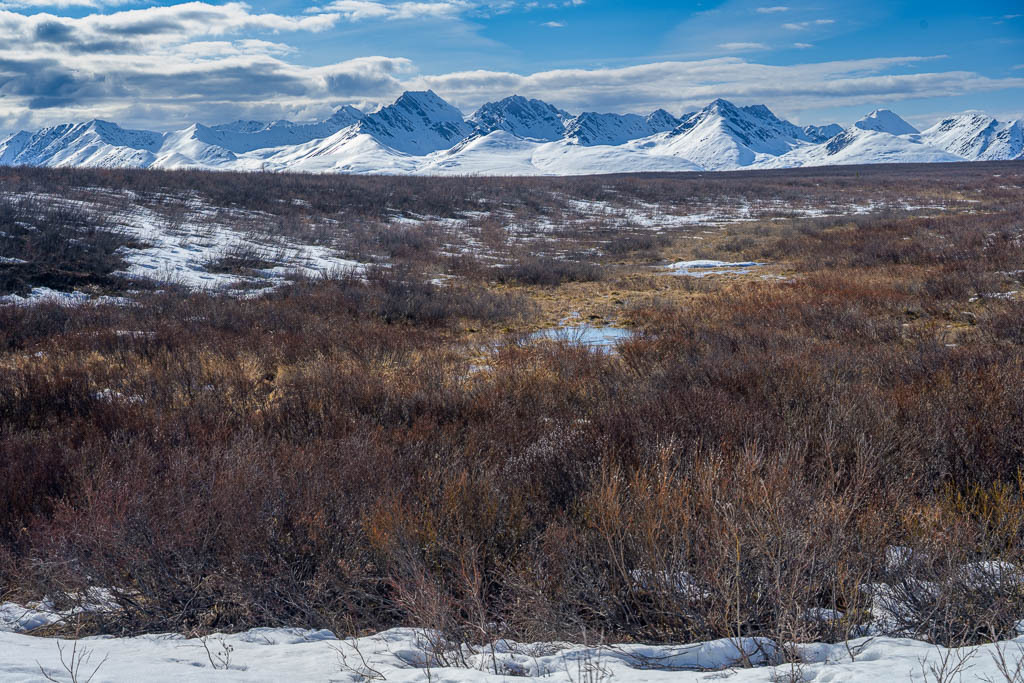 Alaska | Denali Highway - Realisiert mit Pictrs.com