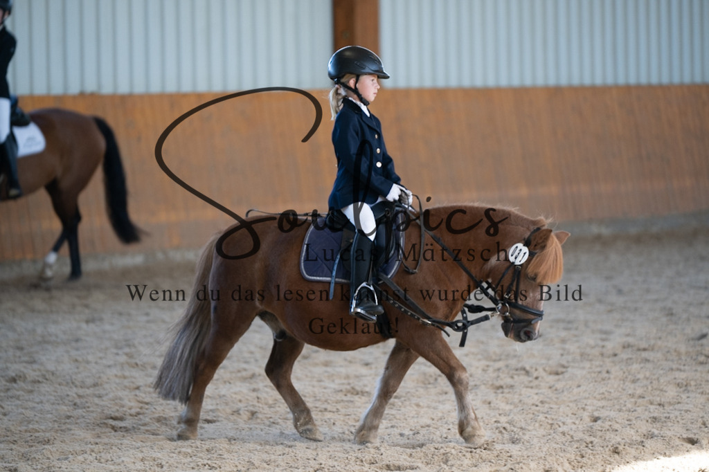 A7V02112 | Turnier/Reitfotograf