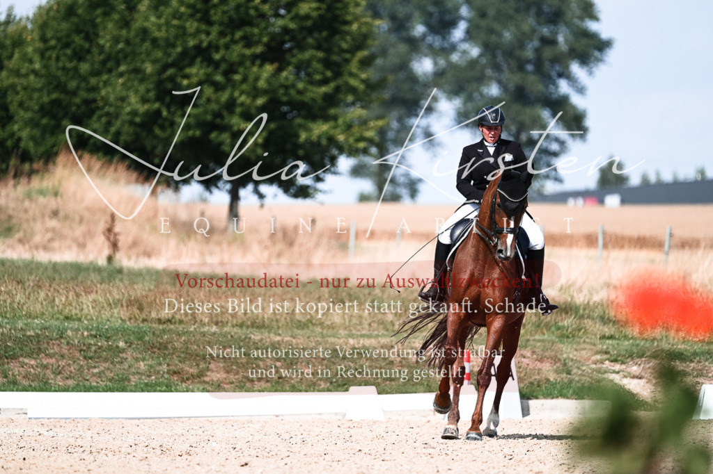 DSC_3256 | Pferde- und Turnierfotografie in Westsachsen. Pferdeportraits, Auftragszeichnungen und intuitive Kunst.