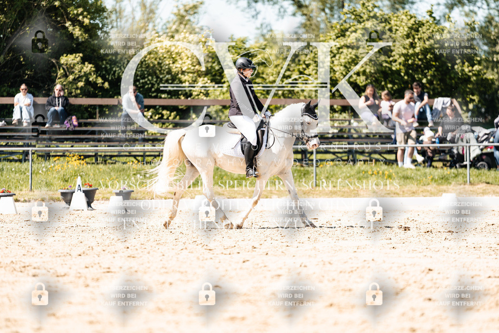 CK905576 | Turnierfotografie Pferdefotografie Trier Rheinland-Pfalz Pferdesport Reitsport Tierfotografie Sportfotografie Pferdevideo Pferdevideografie Equestrianvideography equestrianphotography  - Realisiert mit Pictrs.com