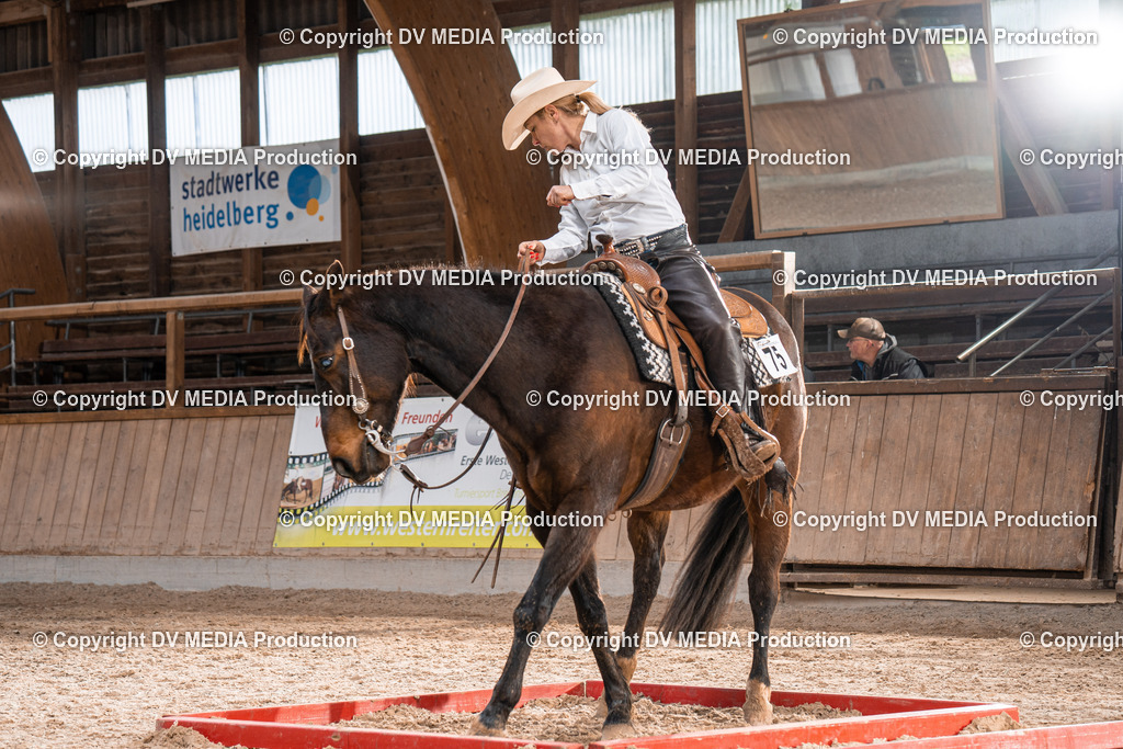 Heidelberg Tag 2-141 | dv-media-shop - Realisiert mit Pictrs.com