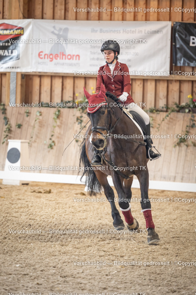 _D5A5543 | Emotionale Pferde- & People-Fotografie rund um Heidelberg, Leimen & Umgebung. Natürliche Fotos von Pferd, Mensch & Familie. Jetzt Termin sichern!