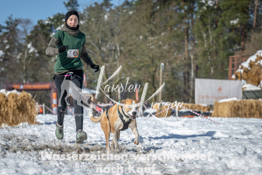 1104_ZZ94695-2 | kk-dogfotos
