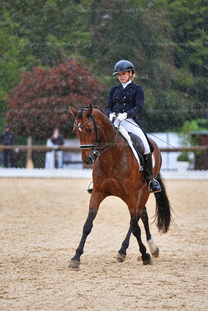 8_1-001-Klasse S_  -Marixx-4325 | working equitationturnier fotograf videograf stoibphotography marixx film working equitation deutschland reitsport turnierfotografie eventfotografie equestrian events