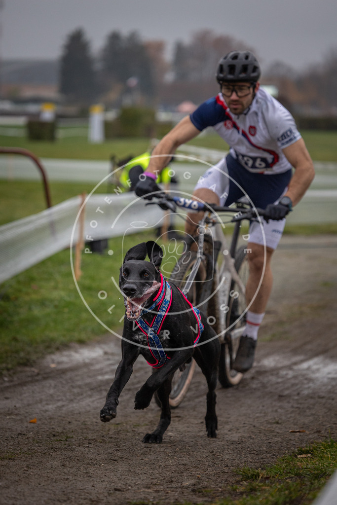 CaniXpix_0L8A1112 | Hundefotografie, Tierfotograf, Pfotenfotografie, Fotoshooting Hund, Hunde Portrait, Hundesport, Hundeportraits, Heideshooting, Hunde, Sportfotograf, Hundefotograf, Turnierhundsport, THS,  - Realisiert mit Pictrs.com